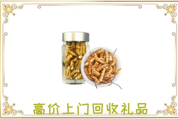 邯山周边回收虫草